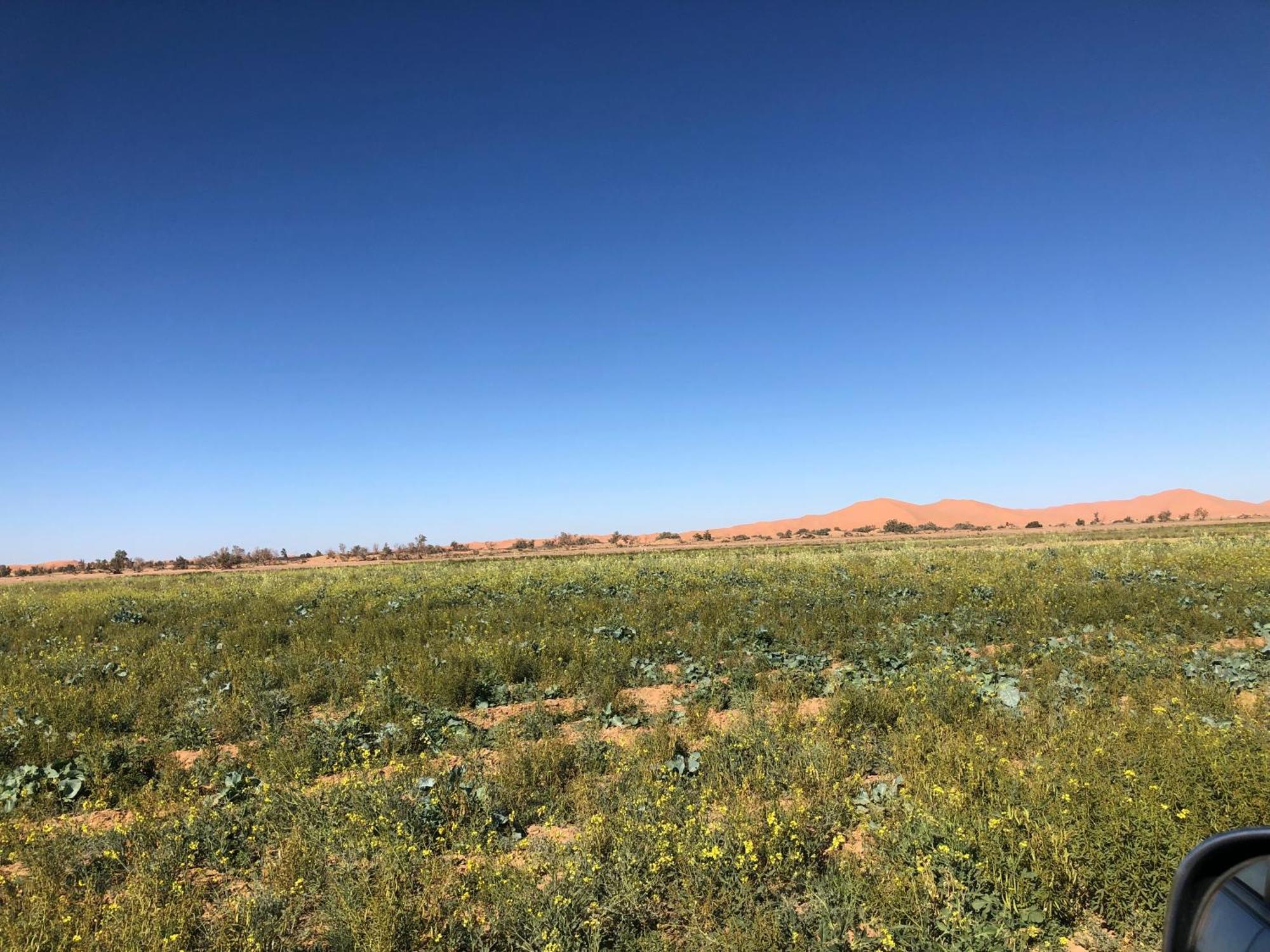 Bivouac Le Petit Prince Merzouga Bagian luar foto